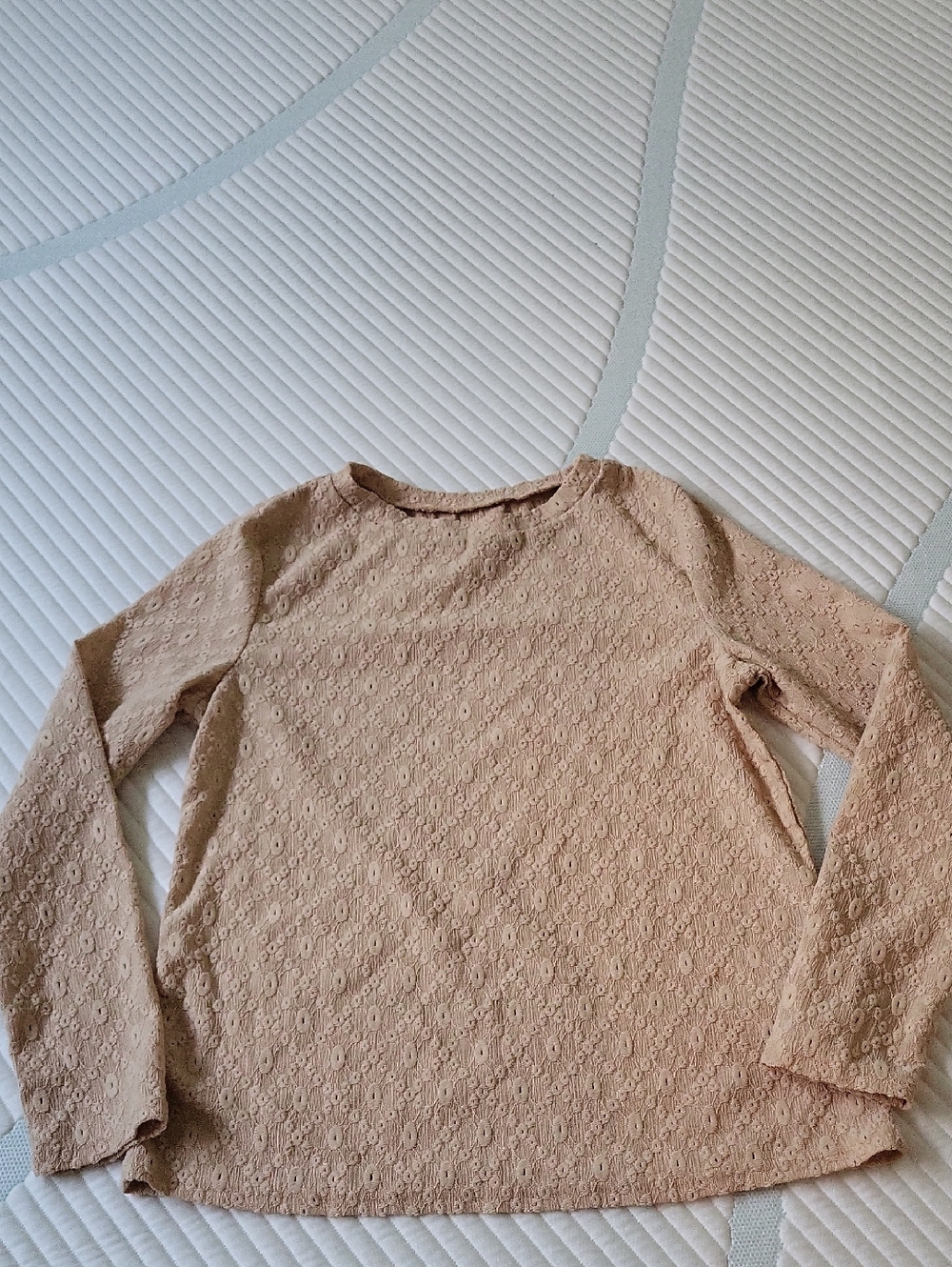 SHEIN Beige Textured Eyelet Long Sleeve Top